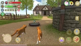 Cat Simulator 2020 #5 (Avelog) | Android Gameplay HD