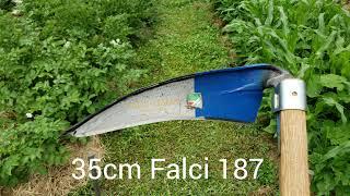 Mowing a Garden Path with a 35cm Falci 187 Scythe Blade