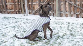 How to Sew a Dog Coat - Pattern and Assembly