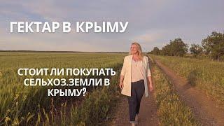 ГЕКТАР в КРЫМУ - Стоит ли покупать большие массивы сельхоз.земли в Крыму?