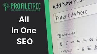 All In One SEO | Search Engine Optimisation | AIOSEO | WordPress Plugin | WordPress Website