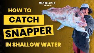 How to catch MASSIVE SNAPPER in shallow water 