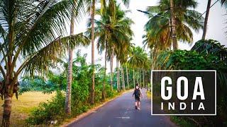 Exploring Anjuna, Goa (India)