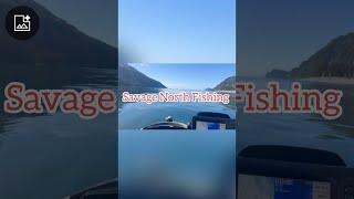 Fishing alone 25 miles out on a jet ski in Alaska!  Catching salmon, rockfish, and halibut.