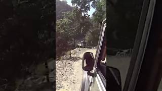 jeep crossing bus on narrow mountain road