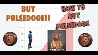 HOW TO BUY PULSEDOGE COIN FAST!