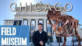 Field Museum Chicago | Guide & Review (2021)