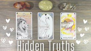Their Hidden Truths  in your connection. PICK A CARD *super Detailed Love Tarot Reading