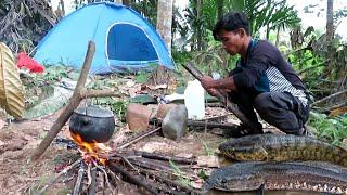 SURVIVAL‼️NAJUR DI SARANG NYA IKAN GABUS (COOKING)