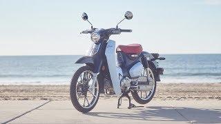 2019 Honda Super Cub C125 Review | MC Commute