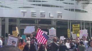 Musk protests target Tesla