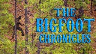 The Bigfoot Chronicles Ep.1