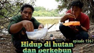 makan di pinggir danau menunggu sambaran ikan toman babon warta petani muda hidup di hutan