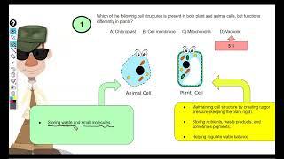 CSEC Biology   Basics   Part 2