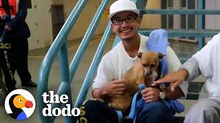 Training Dogs in Prison Changed This Man's Life | The Dodo Faith = Restored