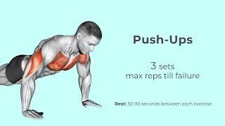 Chest and Bicep Workout to Feel the Pump | Welltech. Wellbeing and Technology