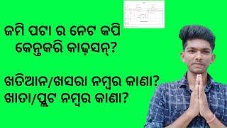 How to get Khatiaya Number/Plot Number Or Net Copy || How to get Netcopy of Any Patta by Name