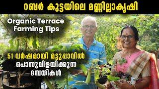 51 വർഷത്തിലധികമായി മട്ടുപ്പാവിൽ പൊന്നുവിളയിക്കുന്ന ദമ്പതികൾ | റബർ കുട്ടയിലെ മണ്ണില്ലാകൃഷി