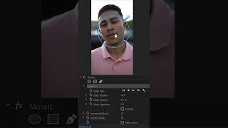 How to Blur Face in Premiere Pro