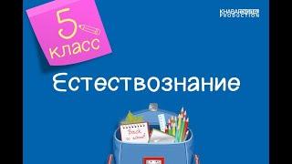 Естествознание. 5 класс. Материки и океаны /13.10.2020/