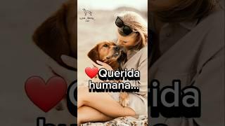 Carta abierta de un  PERRO y un GATO hacía su HUMANA #doglover#amor #perros #gstos #diadelamujer