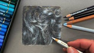 How to Draw Realistic Curly Fur with Colored Pencils