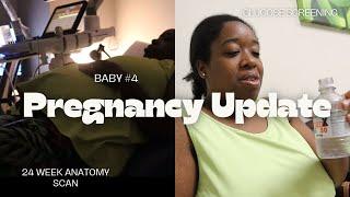 24 week Pregnancy Update | Doctors Appointment | Glucose Test | Anatomy Scan !