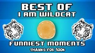 Best of I AM WILDCAT - Funniest Moments - Puncake, Tube Song, Hot Dog, and More! (100k Special)