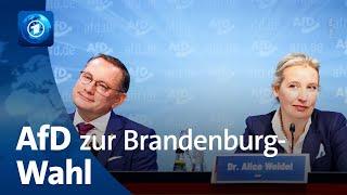 AfD-Bundessprecher:innen Weidel und Chrupalla zur Landtagswahl in Brandenburg