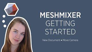 Meshmixer | Getting Started |  Quickie 
