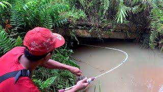 Sampai lemes.!!! MANCING DI BAWAH JEMBATAN ternyata ikan lele nya besar besar sarang lele liar