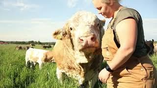 STUNNING ORGANIC & REGENERATIVE Farm in Finland