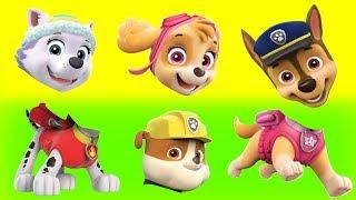 Paw Patrol wrong heads Learning CHASE SKYE EVEREST Marshall Rubble