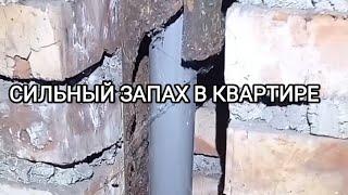 Сильный Запах Канализации в Ванной|Неприятный Запах в Квартире и Санузле