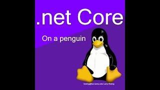 Deploy a .Net Core App to a Linux Server Hosted by 1and1