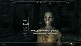 Skyrim (mods) - Preset Madness: R246 Concept - Testing 2