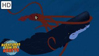 Criaturas oceânicas | Tubarões, baleias, lula + mais! [episódios completos] Aventuras com os Kratts