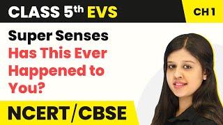 Class 5 EVS Chapter 1 | Super Senses - Has This Ever Happened to You? | Class 5 EVS NCERT