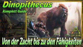 Dinopithecus Komplett Guide - Von der Zucht bis zu den Fähigkeiten | ARK Lost Island