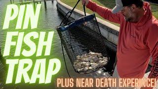 Pinfish Trap Revealed: My Shocking Story