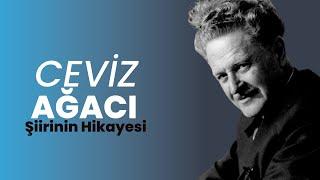 Nazım Hikmet’in Ceviz Ağacı Şiirinin Hikayesi