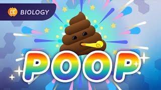 The Poop Episode: How Animals Turn Resources Into Waste: Crash Course Biology #43