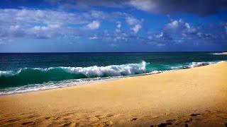 Relax! Ocean Waves Seaside Ambience | for Stress Relief | White Noise Surf Sounds in Hawaii 10 Hours