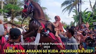 Exciting... Largest Arak - Procession of 16 Jeeps and 60 Prancing Horses in Purworejo