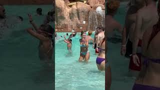 Wave Pool Water Park Summer Holiday -Hot Day️ #waterpark #swimmingpool