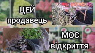 Відкрила для себе "Квіти для саду та бізнесу" 