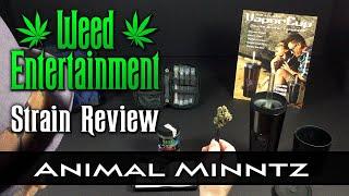 Animal Minntz - Indica - by Seed Junky Genetics - Strain Review - from Dr Greenthumbs, Sylmar, Ca