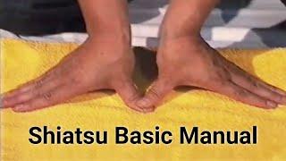 Shiatsu Basic Techniques (Namikoshi)