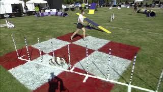 The 2020 Purina Pro Plan Incredible Dog Challenge 1st Place Results - Medium Dog Agility Competition