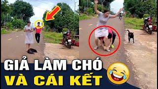 Những Màn Troll Bá Đạo Khiến Ai Xem Cũng Phải Bật Cười | Góc Lầy TV